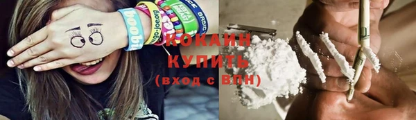шишки Киреевск