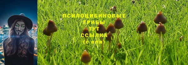 шишки Киреевск