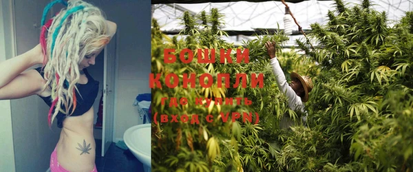 ГАЛЛЮЦИНОГЕННЫЕ ГРИБЫ Кинешма
