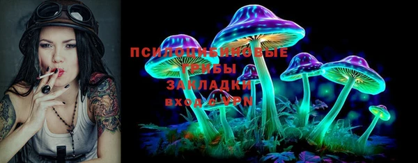 мдпв Кодинск